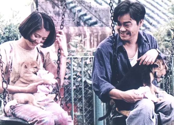 李连杰赵文卓对打_搭档银幕李连杰赵文卓视频_赵文卓与李连杰的银幕搭档