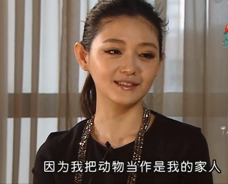 顾长卫张静初_张静初_张静初红河