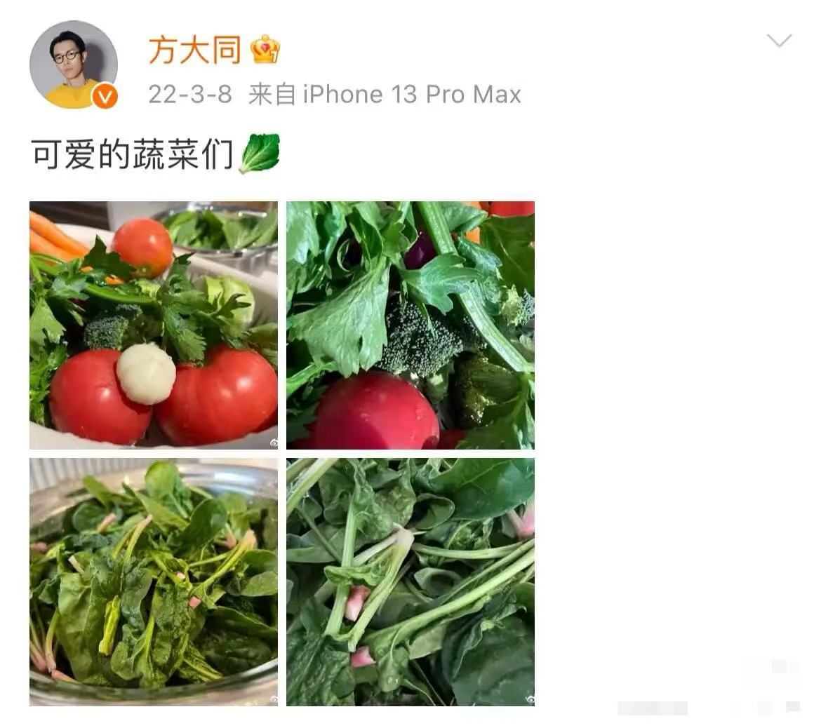 张静初_张静初红河_顾长卫张静初