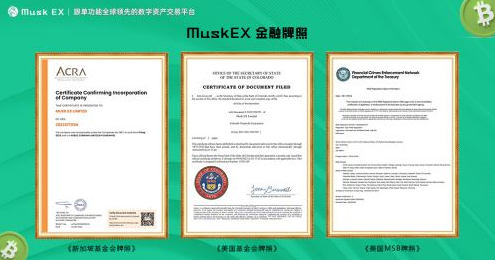 数字货币钱包有什么特点_数字货币钱包的重视点 | 下载时需关注的安全性要素_数字钱包重要有以下哪两种类型