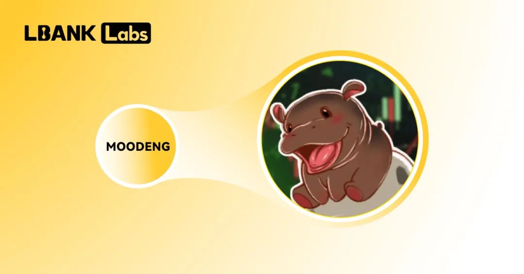 SOL币在社交网络中的影响力：如何塑造用户行为_SOL币在社交网络中的影响力：如何塑造用户行为_SOL币在社交网络中的影响力：如何塑造用户行为