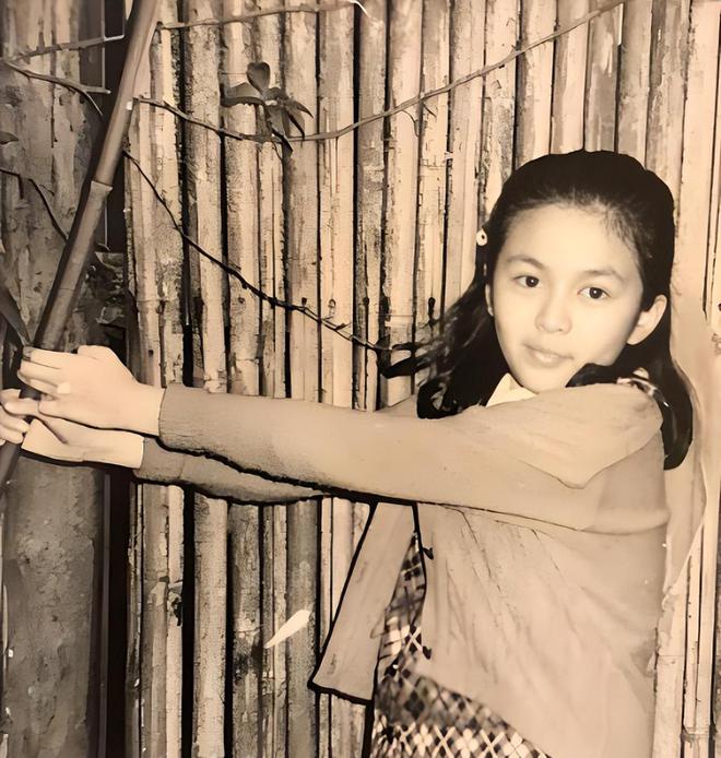 影视演员关之琳_特工绍特剧情深度解析_深度解析关之琳的演艺之路