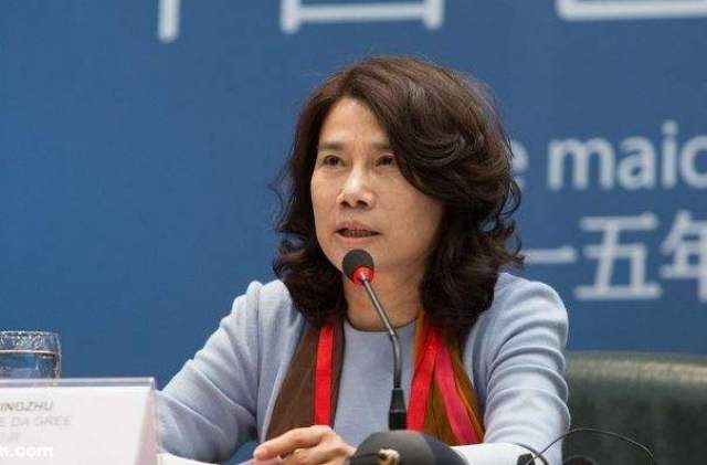 董明珠与国企变革，国企转为私企背后的原因，董明珠与国企变革，国企转为私企背后的深层原因探究
