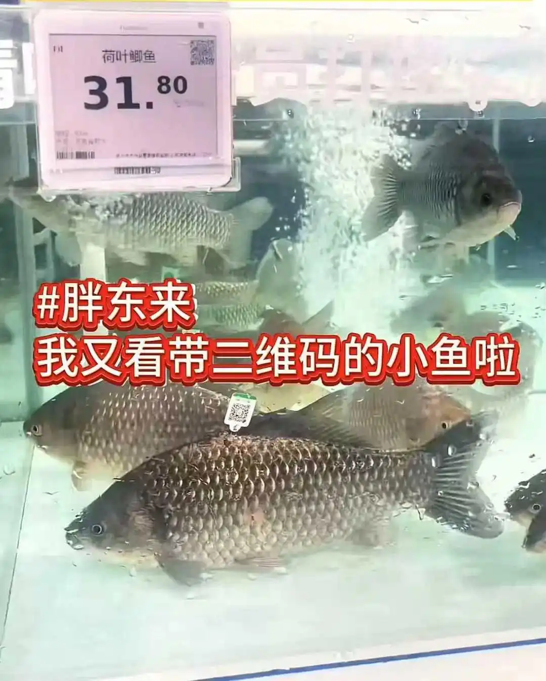 品质与信任，在胖东来的供应链中交融_品质与信任，在胖东来的供应链中交融_品质与信任，在胖东来的供应链中交融