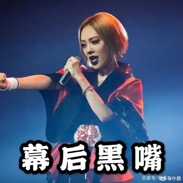 张雨绮的电影生涯与经典作品_张雨绮人生能有几回_电影生涯张雨绮经典作品是什么