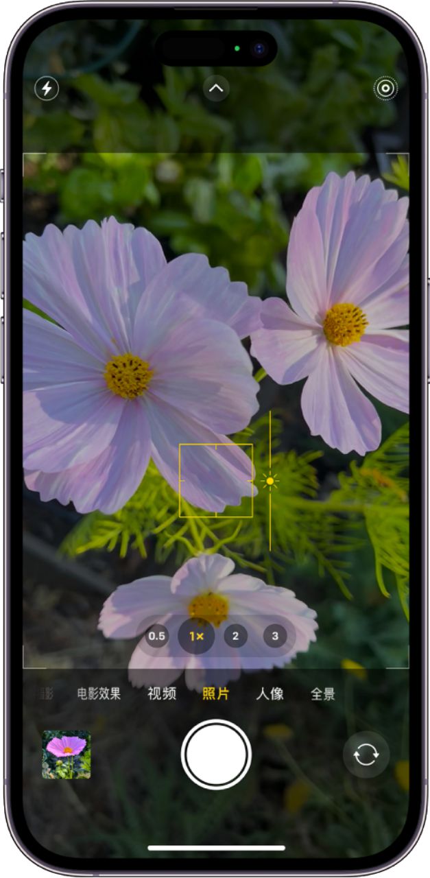 应用相机权限怎么打开苹果_app使用相机_为你的iPhone选一个好相机应用