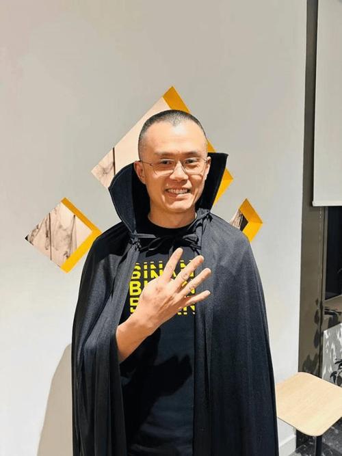 比特币的技术基础与市场表现：数字货币之王的崛起与未来潜力_比特币或再度大幅飙升_比特币起伏