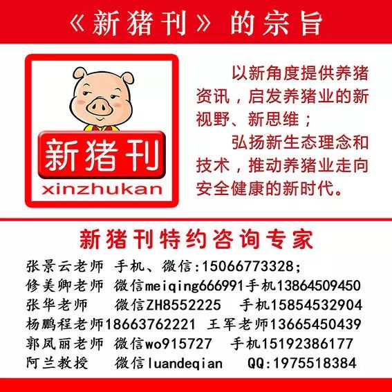 看清养猪形势与布局以长远发展:从屠宰场变革看食品安全保障
